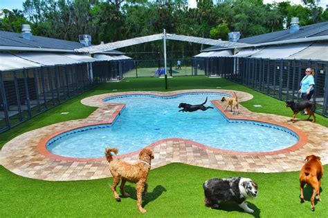Ocean park resort by oceana resorts. Crane Group Purchases Majority Interest in Pet Paradise