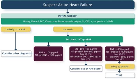 Acute Heart Failure Cardio Guide