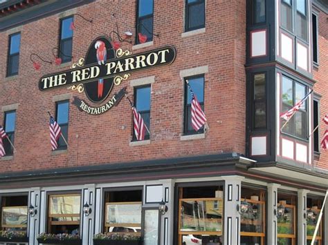 Red Parrot Restaurant Newport Menu Prices And Restaurant Reviews