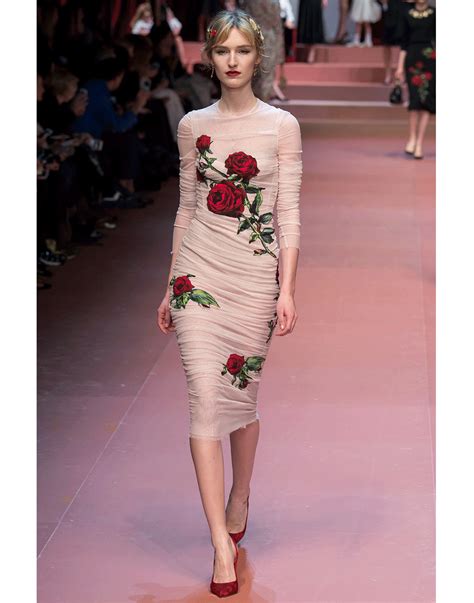 Dolce Gabbana Dress Plump Telegraph