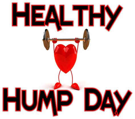 Collection Of Hump Day Png Hd Pluspng