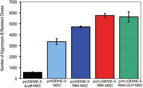 Comparison Of Plasmid Transfection Efficiencies In Hek T Cells Each