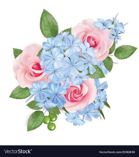 Bouquet Of Roses And Phloxes Royalty Free Vector Image