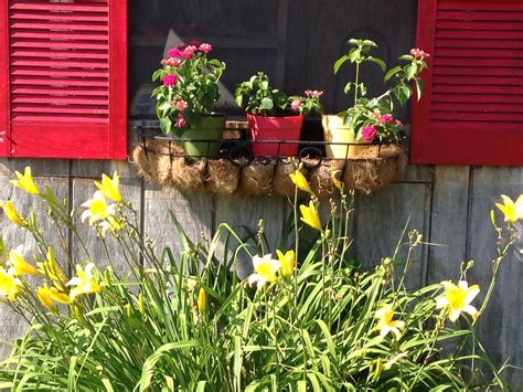 Pretty windows with flower pots and wooden shutters in the old town quarter of heidelberg. Flower pots in a window box | Horta