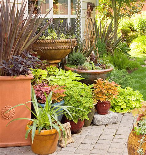 How To Pot Plants In Containers Reno Green Landscaping