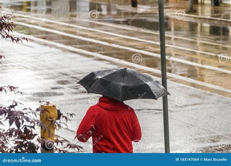 Man Walking In The Rain And Holding An Umbrella Stock Image Image Of