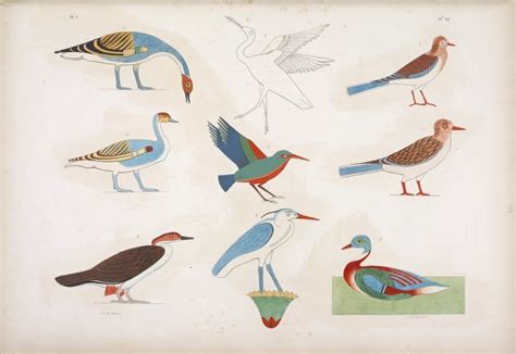 Design Is Fine History Is Mine Ancient Egyptians And Their Birds
