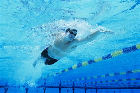 bonnes raisons de débuter la natation Le Blog Sports Village com