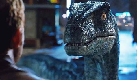 Blue jurassic world jurassic world fallen kingdom indominus rex tyrannosaurus rex raptors jurassic park 1993. Velociraptor de Jurassic World, "Blue" estreia na ...