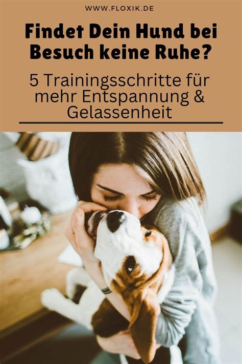 Findet Dein Hund keine Ruhe wenn Du Besuch im Haus hast 5 Tipps für