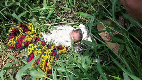 Newborn Baby Dumped In A Bush In Apapa Lagos Photos Crime Nigeria