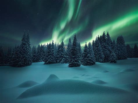 Northern Lights Forest Wallpapers Top Free Northern Lights Forest Backgrounds Wallpaperaccess