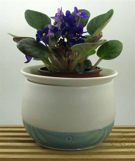 African Violet Pot Self Watering Planter Hand Thrown Etsy