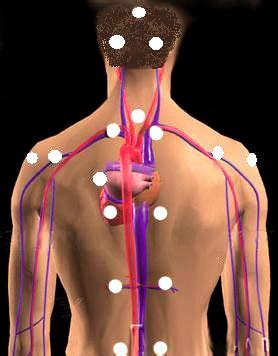 2021 yılı hacamat takvimi bir yıl boyunca hangi günlerde hacamat yapılabileceğini göstermektedir. Hacamat noktalari - Cupping therapy - schröpfen | Schröpfen