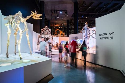 Houston Museum Of Natural Science Will Reopen Starting May 15