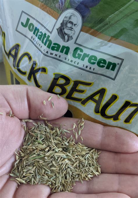 Black Beauty® Ultra Grass Seed Jonathan Green Lawncarenut