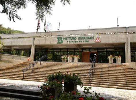 O instituto butantan pedirá à agência nacional de vigilância sanitária (anvisa) autorização para testes clínicos com a nova vacina. Butantan desenvolve vacina para Covid-19 com uso de ovos ...