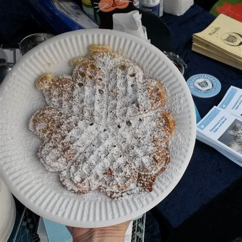 Maybe you would like to learn more about one of these? Kuchen_Waffel - Katzenschutz Bonn Rhein-Sieg eV