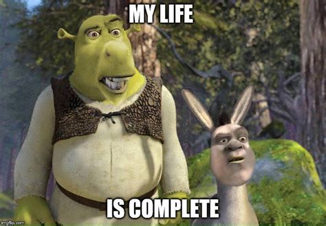 Pin De Derpy Burger En Shrek Memes Memes Shrek Películas Familiares