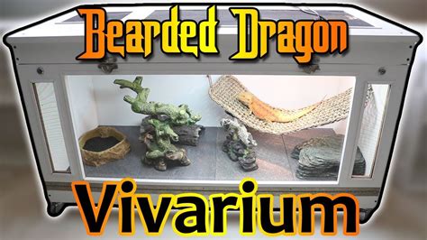 Feel free to take inspiration from them! Homemade Bearded Dragon Vivarium - YouTube