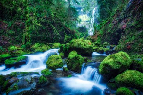 Green Forest Waterfall Hd Wallpaper Background Image 2000x1333