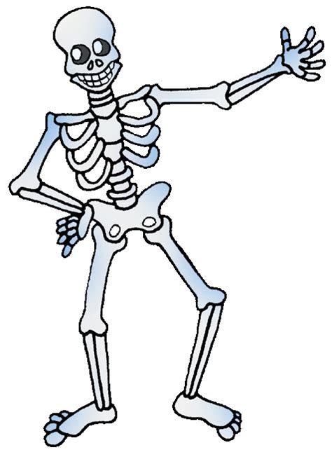 Human Skeleton Free Powerpoints And Games For Kids