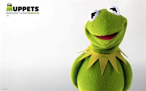 Hd Wallpaper Kermit The Frog The Muppet Show 2086x2754 Animals Frogs