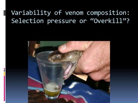 Why Is Snake Venom Composition So Variable