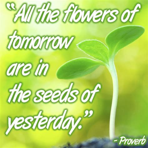 All The Flowers Of Tomorrow Are In The Seeds Of Yesterday Garden