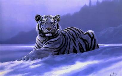 Tiger Animals Animal Desktop Wallpapers Snow Disimpan