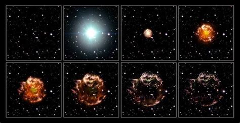 How Do The Most Massive Stars Die Supernova Hypernova Or Direct
