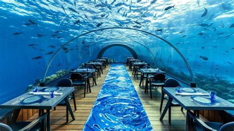 58 Unterwasserrestaurant Auf Den Malediven