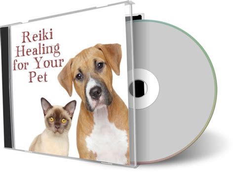 Gumroad - Reiki for Pets Healing Meditation MP3 | Pet healing, Healing meditation, Your pet