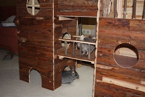 Awesome Chinchilla Playroom Setup The Huge Wooden House Is Amazing
