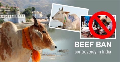 Elaboration On The Concept O Beef Ban In India And Its Criticism