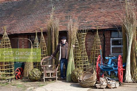 Sussex Willow By Suzie Gibbons Gap Gardens