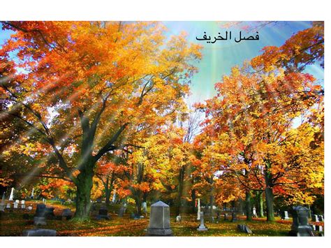 Verbal noun of فَصَلَ (faṣala) (form i). Play فصل الخريف تربيه خاصه-الجنان by חדיגה עאמר - on TinyTap