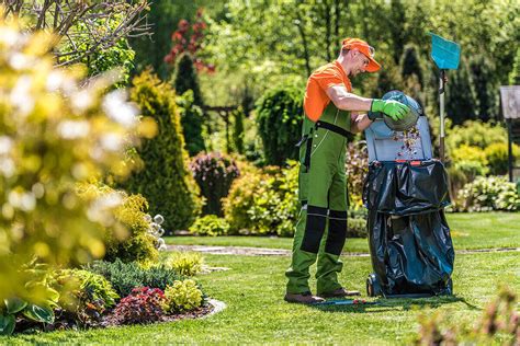 Essential Landscaping Maintenance Tips For Spring Live Enhanced