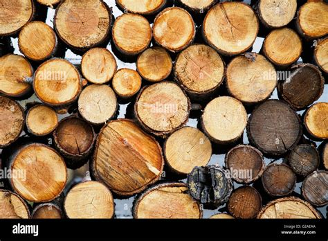 Wood Logs In Stack Stock Photo Alamy