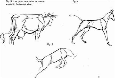 The Use Of Line - Animal Drawing - Joshua Nava Arts