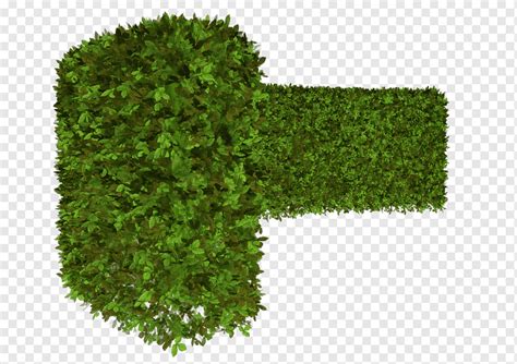 Green Hedge Png Search More Hd Transparent Hedge Image On Kindpng