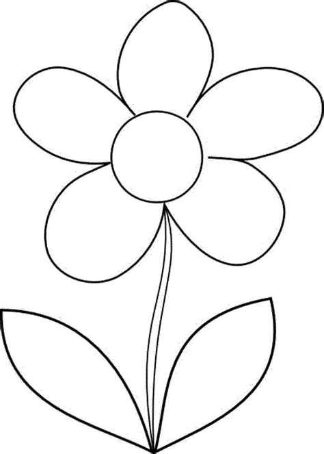 Flower Outlines For Coloring