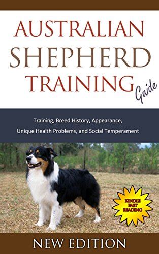 Australian Shepherd Training Guide Training Breed History Appearance