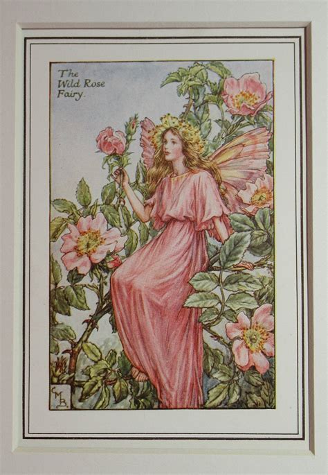Flower Fairiesfairy The Wild Rose Fairy Vintage Print Rare Etsy España