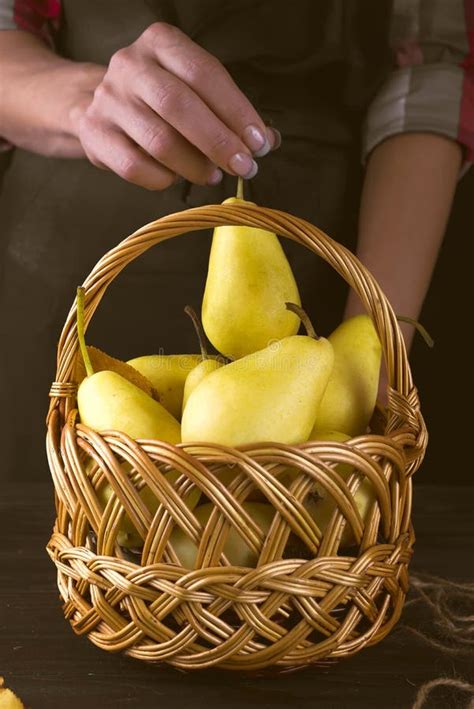 Female Hands Hold A Basket With Pears Stock Image Image Of Fresh Closeup 101646245