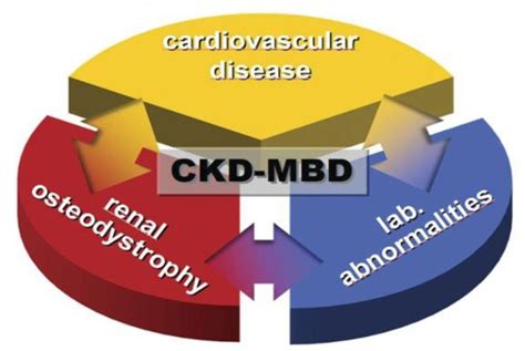 Pdf Chronic Kidney Disease Mineral And Bone Disorders Ckd Mbd