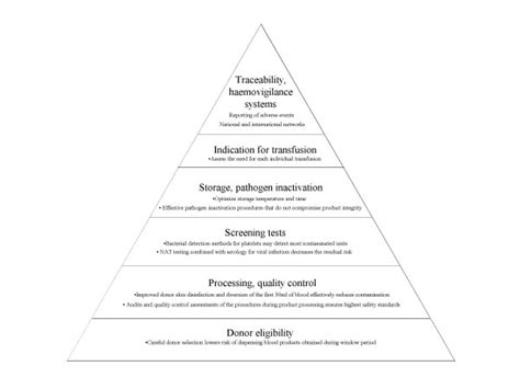 Strategies To Reduce Risk Of Transfusion Transmitted Infections