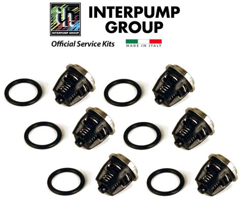 General Pump 8900 4380 Pump Check Valves Kit 1 K01 Interpump Oem Made