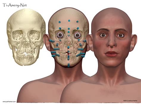 Forensic Facial Reconstruction On Behance