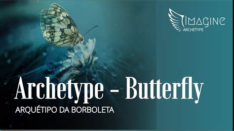 Butterfly Archetype Arqu Tipo Da Borboleta Youtube